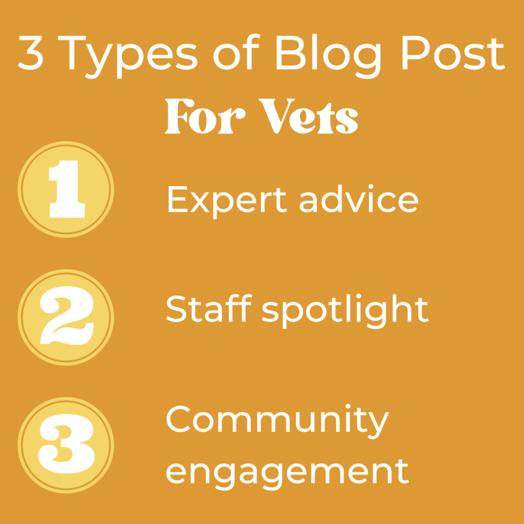 Header image with orange background and white text reading: 3 types of blog post for vets. 1 expert advice, 2 staff spotlight, 3 community engagement.